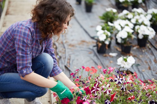 Wildlife-friendly flower bed creation in Havering