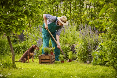 Professional planting services in a Havering garden with structured borders