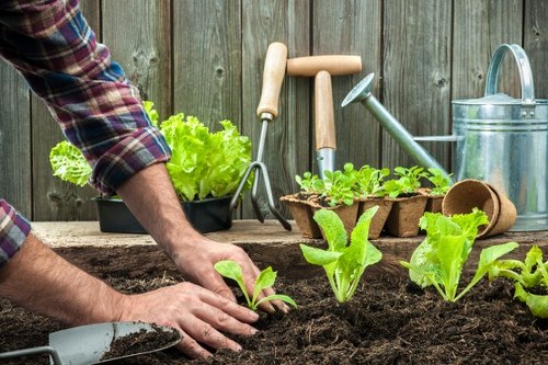 Final stage of a landscapers complaints procedure