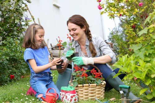 Seasonal lawn maintenance in Havering with aeration and turf improvement