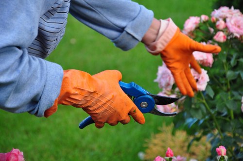 Local gardener carrying out border and path maintenance