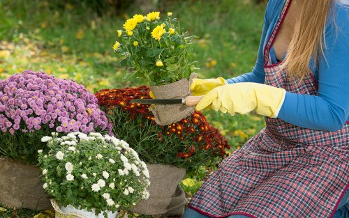 Professional lawn mowing equipment maintaining a local lawn