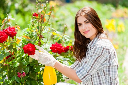 Planning a lifestyle-focused garden renovation in Havering