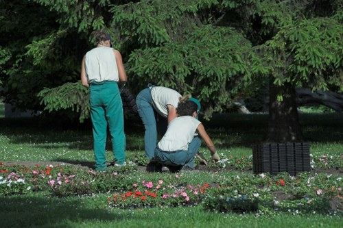 Seasonal lawn care and mowing in a Havering garden