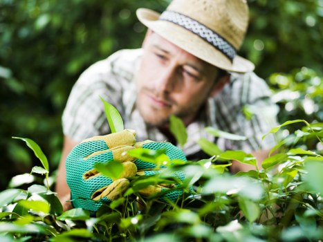 Free quote policy for rubbish and landscaping waste removal