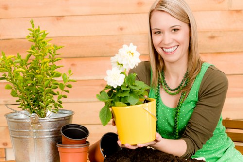 Neat lawn and hedge care for a Havering garden