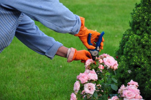 Balanced hard and soft landscaping in a Havering home garden